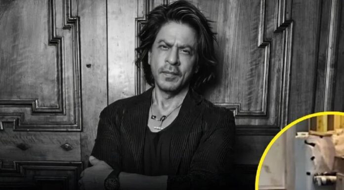 Shah Rukh Khan Row: Sangeet Som Applauds BCCI, Says India’s Sanatan Values Honoured Shahrukh Khan’s Mannat Video: Street Dog Inside ₹200 Crore Bungalow Wins Fans’ Hearts