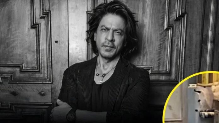 Shahrukh Khan’s Mannat Video: Street Dog Inside ₹200 Crore Bungalow Wins Fans’ Hearts