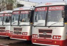 100 PRTC Mini Buses to Serve Punjab Villages; City Commuters to Benefit Too