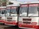 100 PRTC Mini Buses to Serve Punjab Villages; City Commuters to Benefit Too