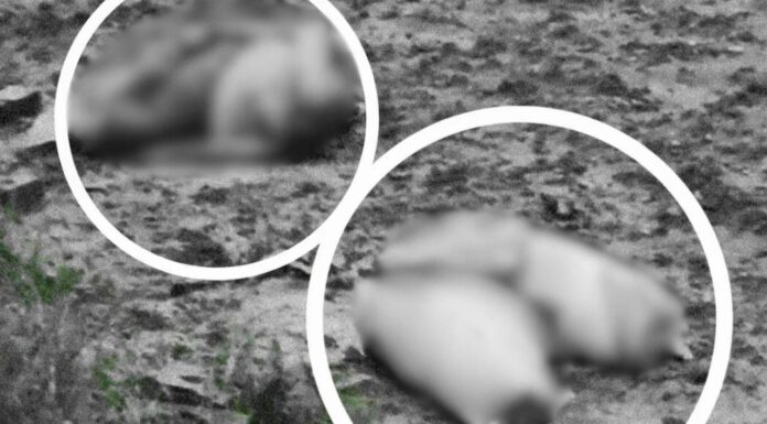 Foul Smell Leads To Shocking Discovery Of Girl’s Headless Body Stuffed In Two Sacks In Jhansi Foul Smell Leads To Shocking Discovery Of Girl’s Headless Body Stuffed In Two Sacks In Jhansi