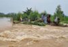 Viral Video: ‘Oh, I am dead’ as Punjab floods drown farmers’ crops after rain and dam release Viral Video: 'Oh, I am dead' as Punjab floods drown farmers’ crops after rain and dam release