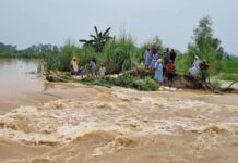 Viral Video: ‘Oh, I am dead’ as Punjab floods drown farmers’ crops after rain and dam release Viral Video: 'Oh, I am dead' as Punjab floods drown farmers’ crops after rain and dam release