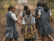 15 Million Girls Worldwide Still Out of School Due to Gender Discrimination, UN Report Warns 15 Million Girls Worldwide Still Out of School Due to Gender Discrimination, UN Report Warns