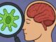 Explained: Brain-Eating Amoeba and How It Can Cause Death Brain-Eating Amoeba: What It Is and How It Turns Deadly