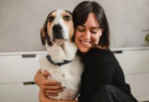 From feeding sweets to glucose biscuits… these mistakes of yours make the dog sick From feeding sweets to glucose biscuits… these mistakes of yours make the dog sick