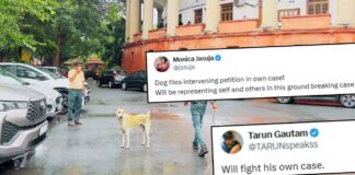 Stray Dog Appears In Supreme Court Before Hearing As Nation Awaits Verdict On Shelter Home Order Stray Dog Appears In Supreme Court Before Hearing As Nation Awaits Verdict On Shelter Home Order