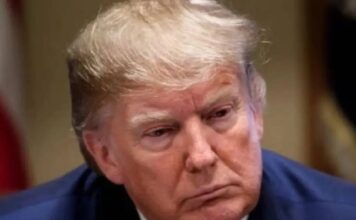 Trump-led Board Of Peace Ropes in Indian-Americans For Gaza Reconstruction Drive Why is 'Trump is Dead' trending on X after US court's decision on tariffs, questions raised about Trump's health