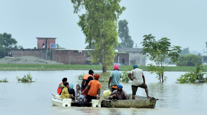 Floods Sweep Through Punjab: Over 2.56 Lakh Affected, 29 Dead, 15,688 Evacuated Over 2.56 lakh people affected as floods ravage Punjab; 29 lives lost, 15,688 evacuated