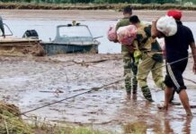 Punjab Floods Shatter 55-Year Record, 29 Dead, Crops Ravaged As Thousands Flee Rising Waters Punjab Floods Shatter 55-Year Record, 29 Dead, Crops Ravaged As Thousands Flee Rising Waters