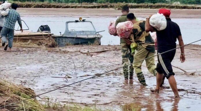 Punjab Floods Shatter 55-Year Record, 29 Dead, Crops Ravaged As Thousands Flee Rising Waters Punjab Floods Shatter 55-Year Record, 29 Dead, Crops Ravaged As Thousands Flee Rising Waters