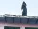 Woman Jumps from Roof at Husband’s Instigation, Beaten Even After Falling as In-Laws Watch Woman Jumps from Roof at Husband’s Instigation, Beaten Even After Falling as In-Laws Watch