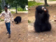 Outrage as Man in Chhattisgarh Gives ‘Maaza’ to Wild Bear Viral video shows Chhattisgarh man giving 'Maaza' to wild bear, internet furious