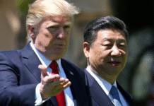 Trump, Xi Jinping hold first call in three mths as trade, TikTok deal dominate agenda Trump, Xi Jinping hold first call in three mths as trade, TikTok deal dominate agenda