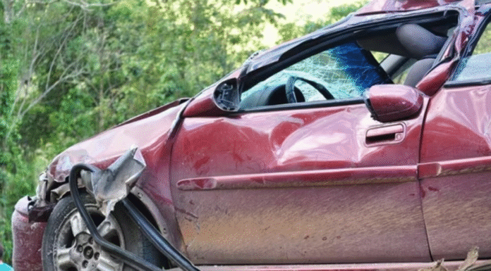 Jharkhand Road Accidents Claim Lives of 8-Year-Old and Another Person in Dumka, Chaibasa 8-year-old child among two killed in separate road accidents in Jharkhand's Dumka and Chaibasa
