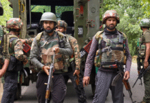 3 More Maoists Killed in Chhattisgarh Encounter, Toll Rises to 250 This Year: Report 3 More Maoists Killed in Chhattisgarh Encounter, Toll Rises to 250 This Year: Report