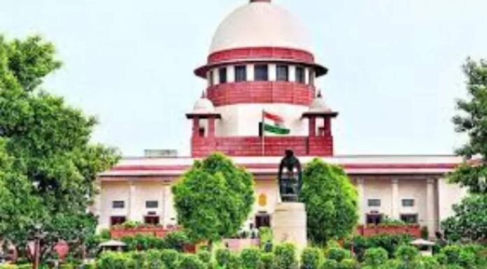 Maharashtra Local Body Elections: Local body elections will be held in Maharashtra before January 31, big order of Supreme Court Maharashtra Local Body Elections: Local body elections will be held in Maharashtra before January 31, big order of Supreme Court