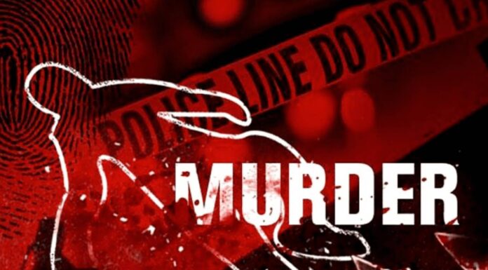 South Delhi Double Murder: Accused Asad Arrested After Father-Son Killing