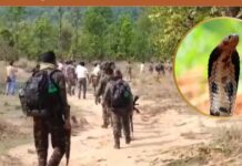 Jharkhand: A soldier was searching for Naxalites in the forest when he was bitten by a cobra and died Jharkhand: A soldier was searching for Naxalites in the forest when he was bitten by a cobra and died