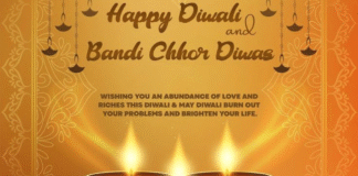 Punjab Ministers Send Warm Wishes on Diwali and Bandi Chhor Diwas Punjab Ministers Send Warm Wishes on Diwali and Bandi Chhor Diwas