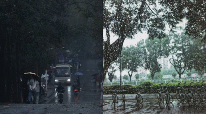 Artificial Rain for Delhi? Government Plans Action Amid Worsening AQI Artificial Rain for Delhi? Government Plans Action Amid Worsening AQI