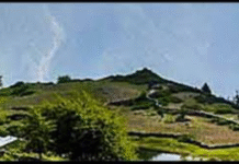 5 Dead After Community Feast in Remote Chhattisgarh Village 5 Dead After Community Feast in Remote Chhattisgarh Village