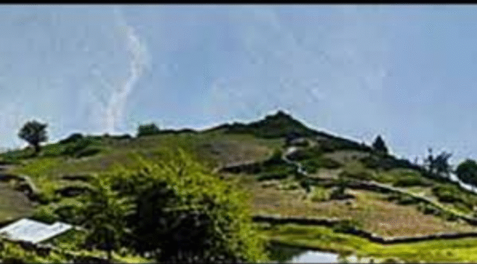 5 Dead After Community Feast in Remote Chhattisgarh Village 5 Dead After Community Feast in Remote Chhattisgarh Village