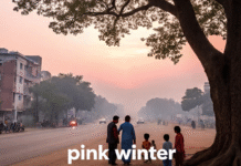 Dhanbad Weather Update: November Mornings, April Afternoons, February Nights as Post-Monsoon Chill Arrives Dhanbad Weather Update: November Mornings, April Afternoons, February Nights as Post-Monsoon Chill Arrives