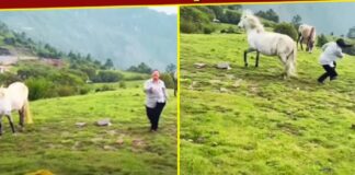 The horse didn’t like Didi’s dance! He spun around and kicked her so hard that ‘Papa’s angel’ fell flying The horse didn't like Didi's dance! He spun around and kicked her so hard that 'Papa's angel' fell flying