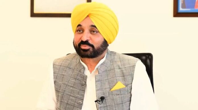 Punjab Honors Guru’s Sacrifice With Service Drives And Powerful Drone Show Finale Punjab Honors Guru’s Sacrifice With Service Drives And Powerful Drone Show Finale