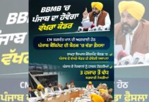 Youth Get Their Due! 3,000+ Government Jobs in BBMB Now Exclusively for Punjab Youth Get Their Due! 3,000+ Government Jobs in BBMB Now Exclusively for Punjab