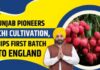 Punjab Emerges as India’s New Litchi Powerhouse, Export Gains Push Farmer Income to New Heights Mann Government