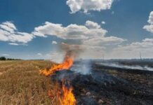 Punjab Farmers Lead Clean Air Revolution, Stubble Burning Drops By Historic 85 Percent Under Mann Govt Punjab Farmers Lead Clean Air Revolution, Stubble Burning Drops By Historic 85 Percent Under Mann Govt