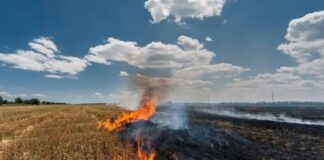 Punjab Farmers Lead Clean Air Revolution, Stubble Burning Drops By Historic 85 Percent Under Mann Govt Punjab Farmers Lead Clean Air Revolution, Stubble Burning Drops By Historic 85 Percent Under Mann Govt