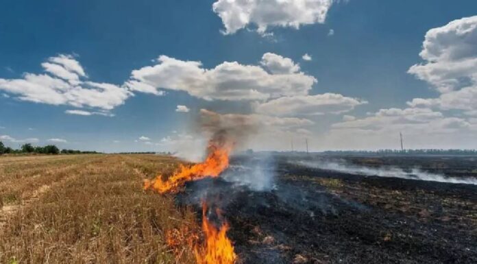 Punjab Farmers Lead Clean Air Revolution, Stubble Burning Drops By Historic 85 Percent Under Mann Govt Punjab Farmers Lead Clean Air Revolution, Stubble Burning Drops By Historic 85 Percent Under Mann Govt