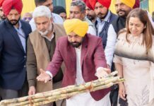 Punjab Sets Record Sugarcane Price As Mann Inaugurates New Mill And Power Project Punjab Sets Record Sugarcane Price As Mann Inaugurates New Mill And Power Project