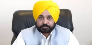 Punjab school meals upgraded as Mann government boosts nutrition and women workforce support Mann government's big attack on 'toll loot': 19 toll plazas closed so far, saving Rs 225 crore annually