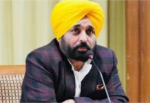 Mann Govt Connecting Youth with Sports: Promise of 3000 Sports Grounds Becoming Reality Mann Govt Connecting Youth with Sports: Promise of 3000 Sports Grounds Becoming Reality