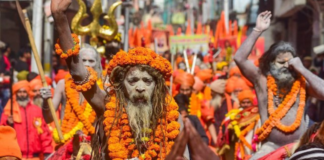 Happy Makar Sankranti 2026: Know Wishes, Messages, Images, Quotes, Status, Greetings Makar Sankranti is one of the India's oldest and most widely observed festivals.