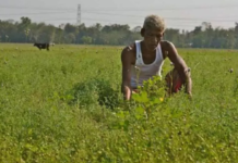 PM Kisan Yojana: Govt To Increase Payment Amount, Know How To Update Your KYC For millions of farmers across the country, the Pradhan Mantri Kisan Samman Nidhi Yojana has become more than just a government scheme.