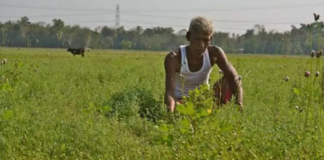 PM Kisan Yojana: Govt To Increase Payment Amount, Know How To Update Your KYC For millions of farmers across the country, the Pradhan Mantri Kisan Samman Nidhi Yojana has become more than just a government scheme.