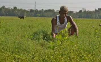 PM Kisan Yojana: Govt To Increase Payment Amount, Know How To Update Your KYC For millions of farmers across the country, the Pradhan Mantri Kisan Samman Nidhi Yojana has become more than just a government scheme.
