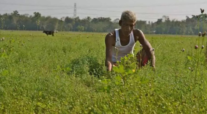 PM Kisan Yojana: Govt To Increase Payment Amount, Know How To Update Your KYC For millions of farmers across the country, the Pradhan Mantri Kisan Samman Nidhi Yojana has become more than just a government scheme.