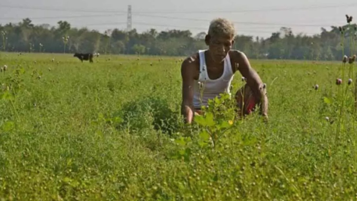 For millions of farmers across the country, the Pradhan Mantri Kisan Samman Nidhi Yojana has become more than just a government scheme.