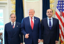 Pakistanis SlamDecision To Join Donald Trump’s ‘Board Of Peace’ Pakistan Army chief Asim Munir has decided to abandon the long standing policy of not engaging wth Israel.