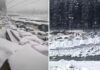 Snowfall Brings Manali to Standstill, Tourists Stuck on Roads as Hotels Run Out