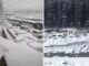 Snowfall Brings Manali to Standstill, Tourists Stuck on Roads as Hotels Run Out