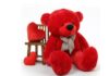 Teddy Day 2026: From plush red to giant TEDDY, Here are Cute Bear ideas to gift Your Valentine Teddy Day 2026: From plush red to giant TEDDY, Here are Cute Bear ideas to gift Your Valentine