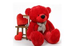 Teddy Day 2026: From plush red to giant TEDDY, Here are Cute Bear ideas to gift Your Valentine Teddy Day 2026: From plush red to giant TEDDY, Here are Cute Bear ideas to gift Your Valentine