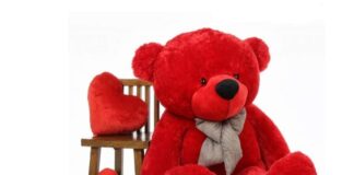 Teddy Day 2026: From plush red to giant TEDDY, Here are Cute Bear ideas to gift Your Valentine Teddy Day 2026: From plush red to giant TEDDY, Here are Cute Bear ideas to gift Your Valentine